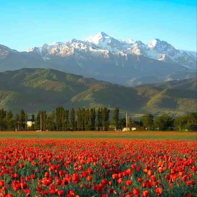 Kazakhstan 3 Nights 4 Days Itinerary