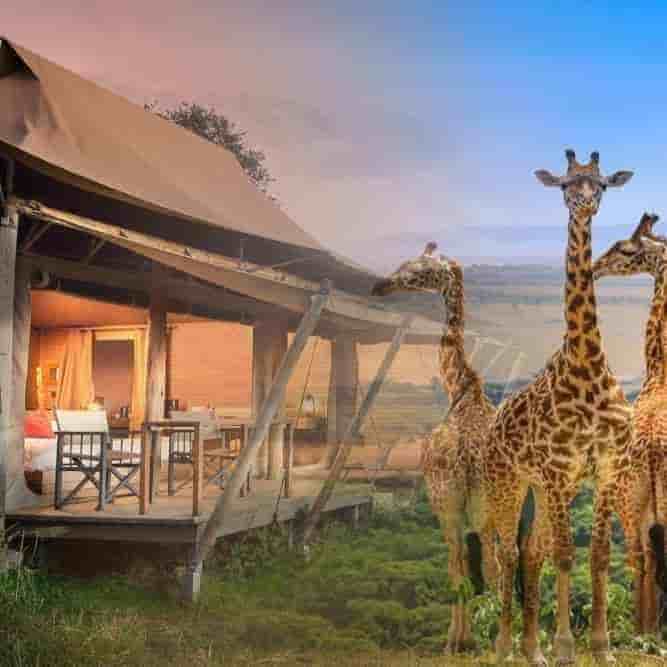 Kenya 6 Nights 7 Days Itinerary