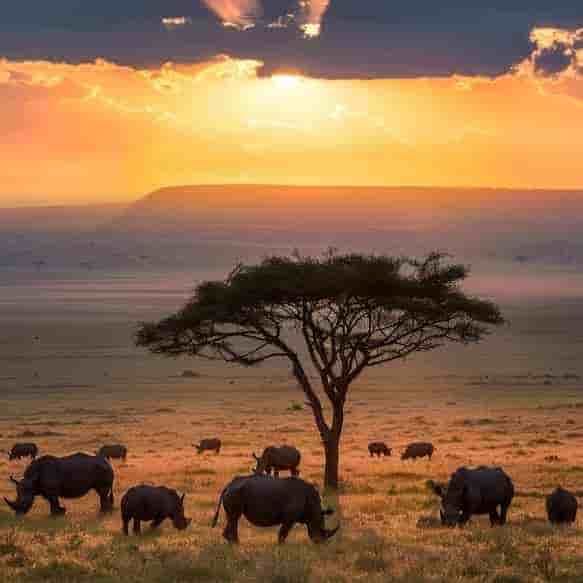 South Africa 5 Nights 6 Days Itinerary