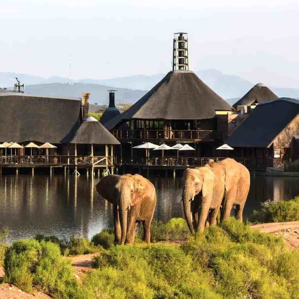 South Africa 7 Nights 8 Days Itinerary