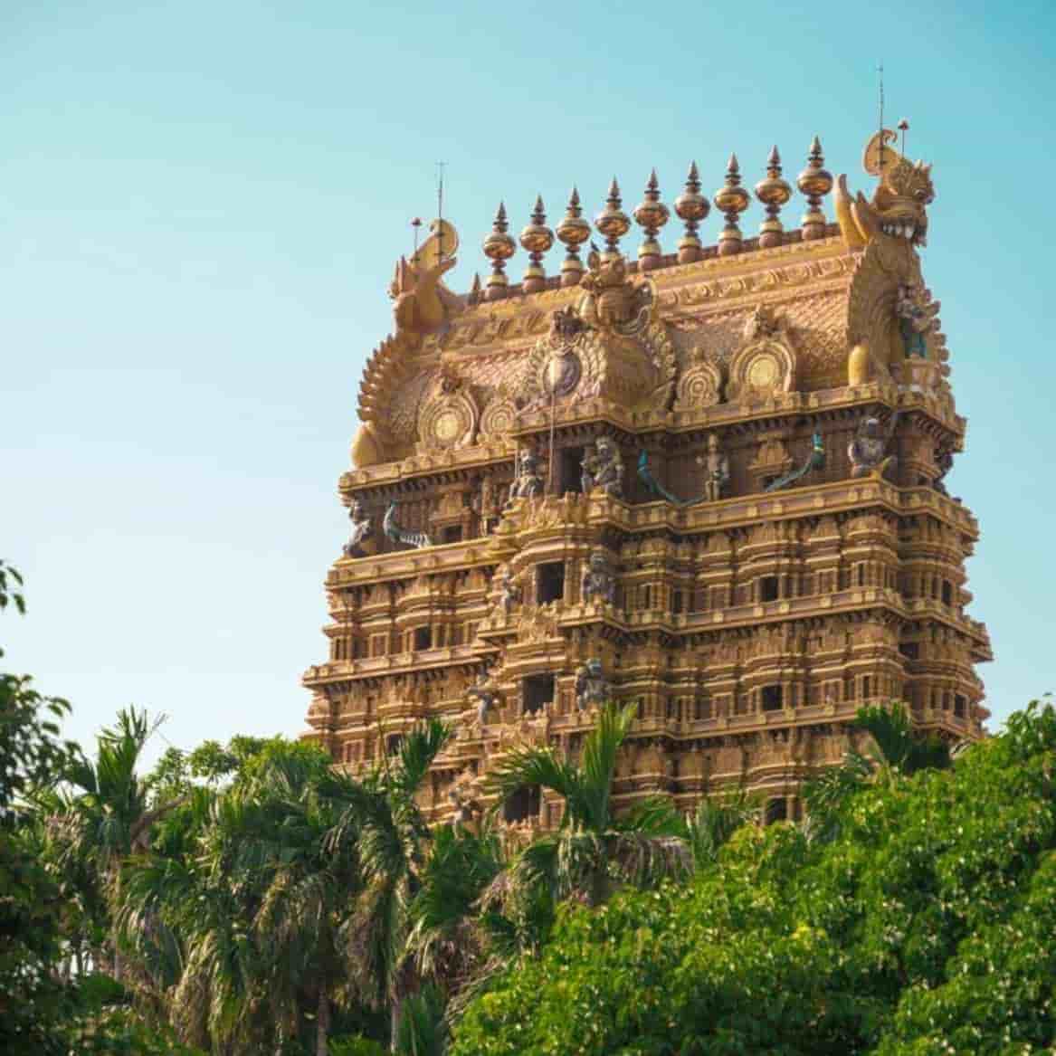 Sri Lanka 5 Nights 6 Days Itinerary