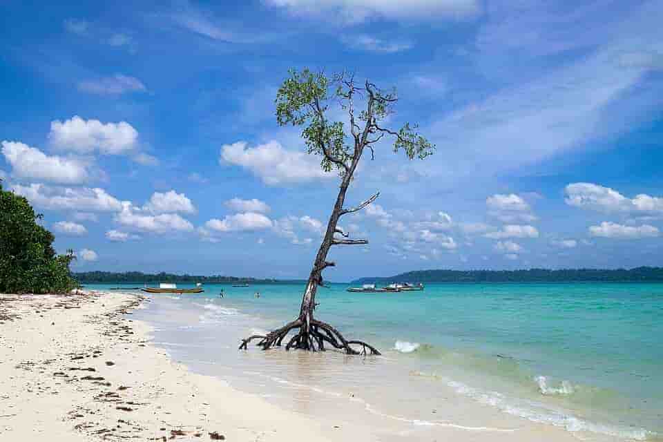 3 Night 4 Days Port Blair with Havelock stay
