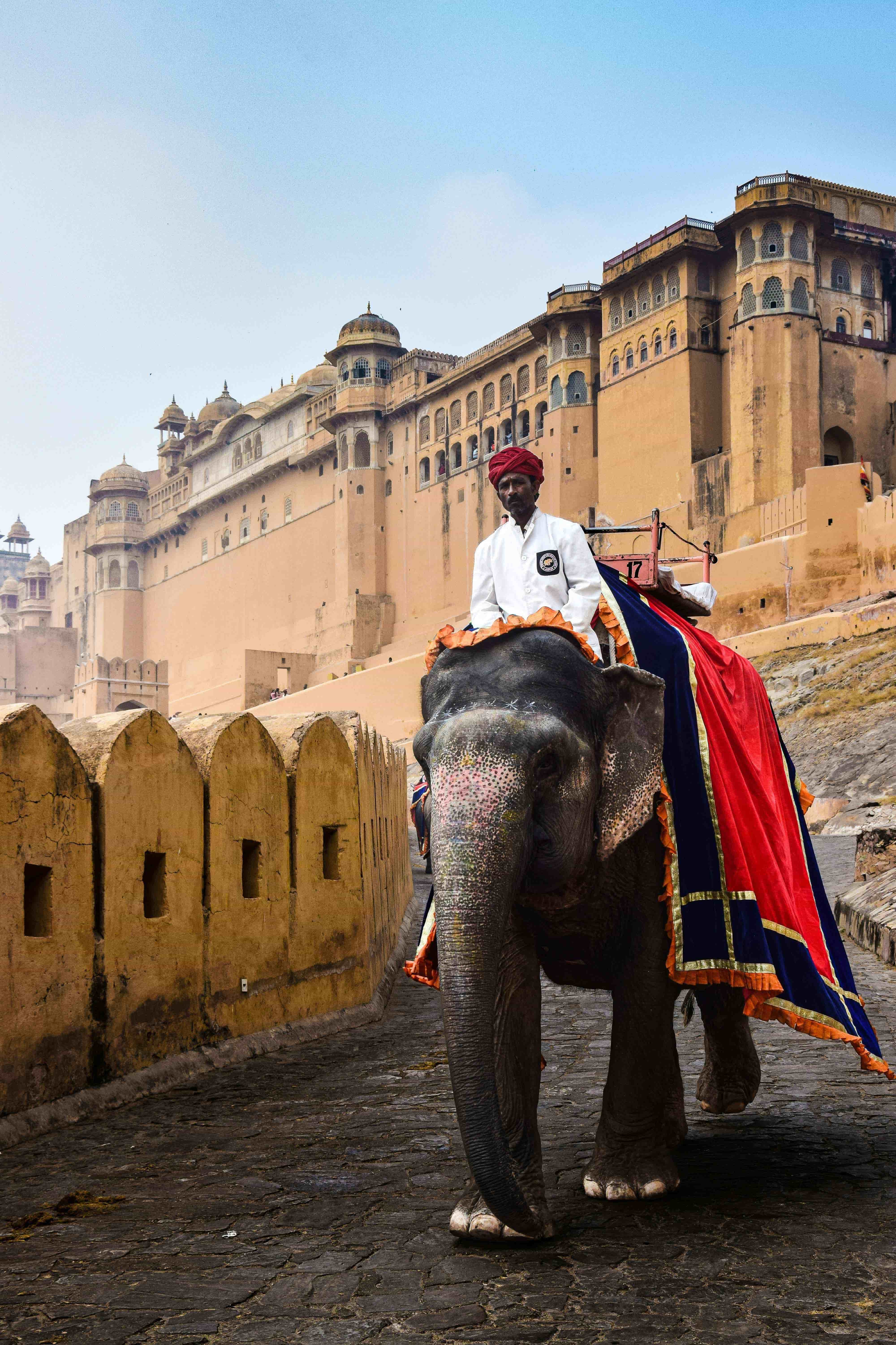 Golden Triangle Packages
