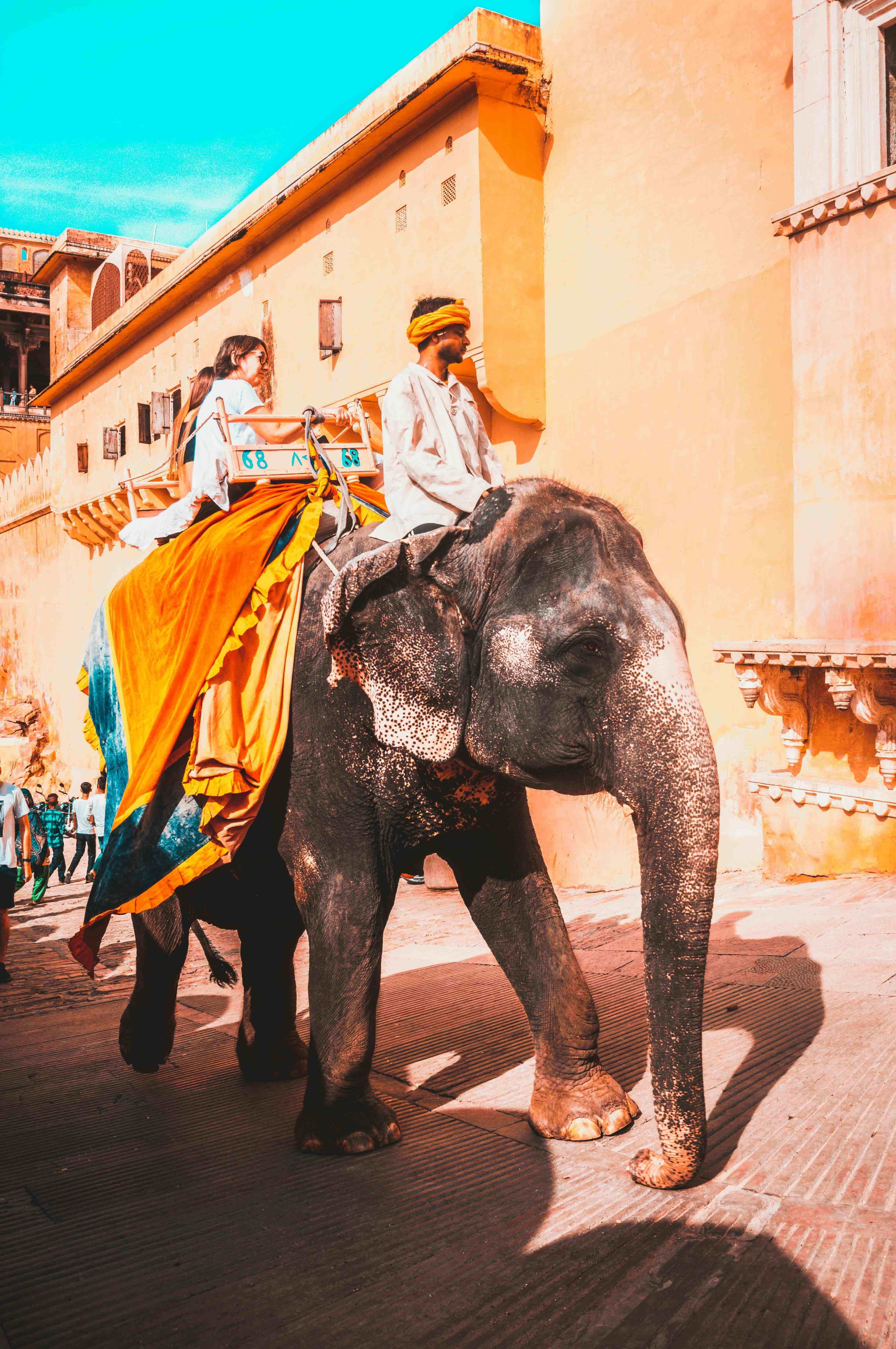 Golden Triangle 4 Nights 5 Days 