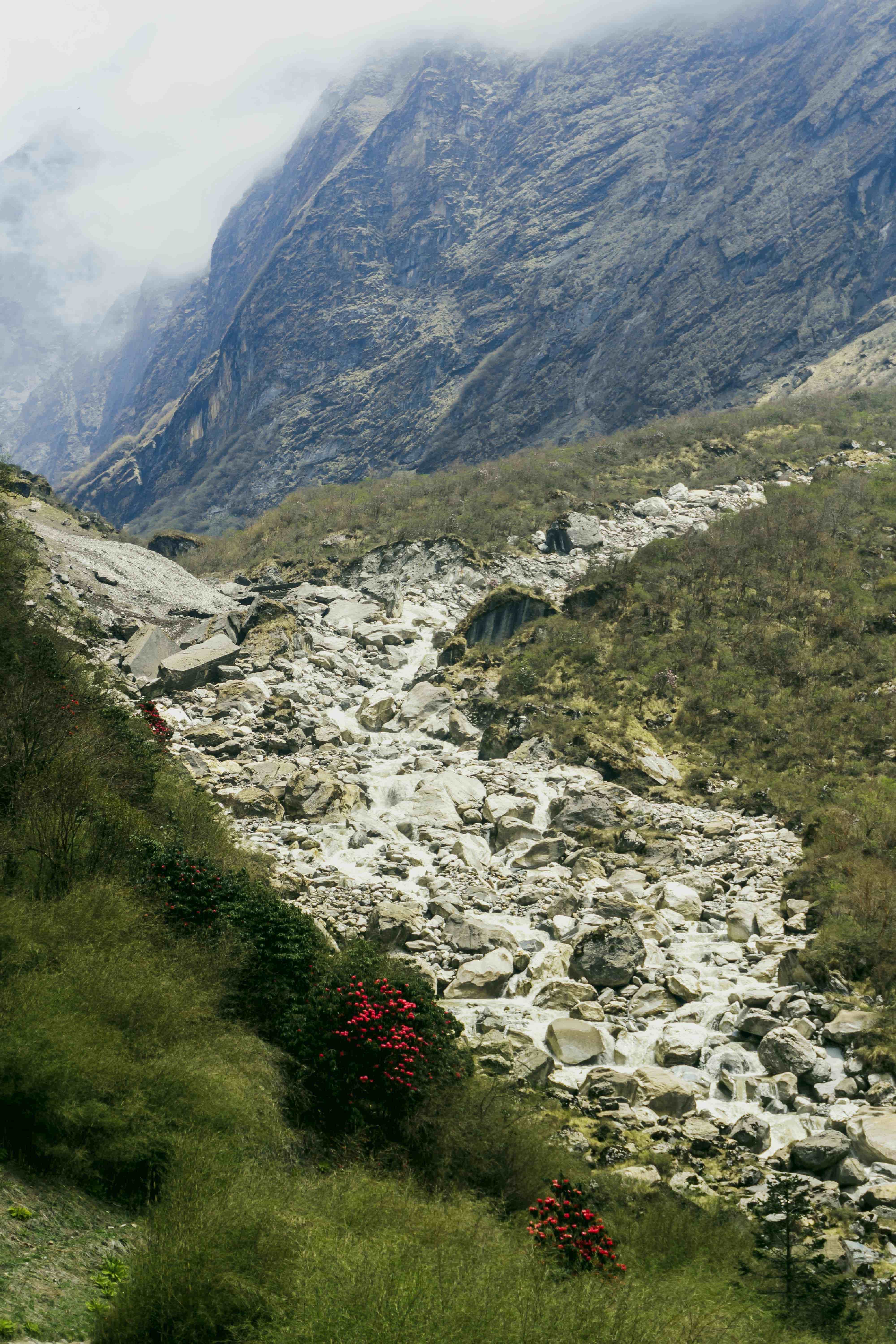 Dharamshala-Dalhousie 5 Night 6 Days 
