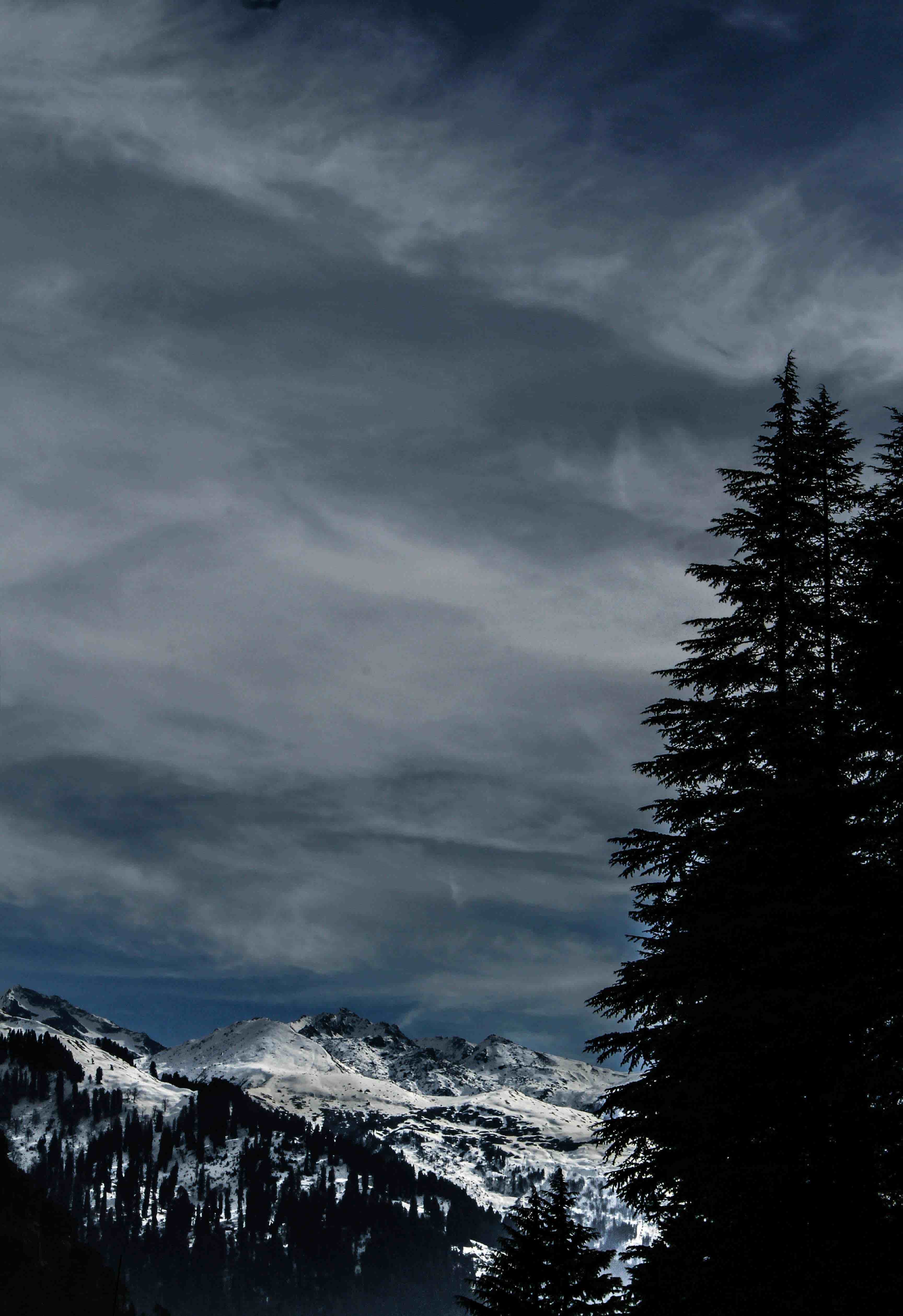 Shimla - Manali-Chandigarh 6 Night 7 Days 