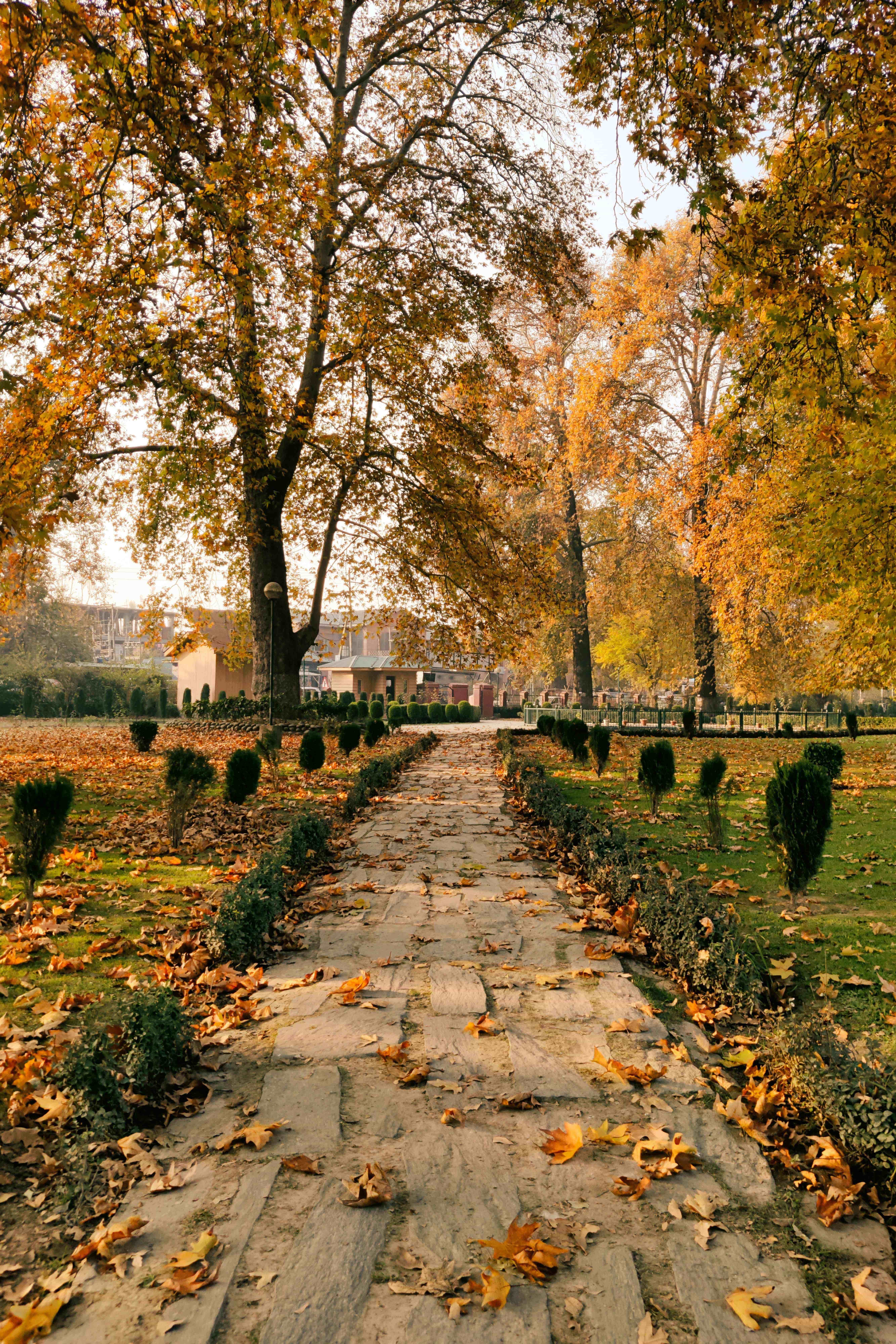 Kashmir Package 4 Night 5 Days