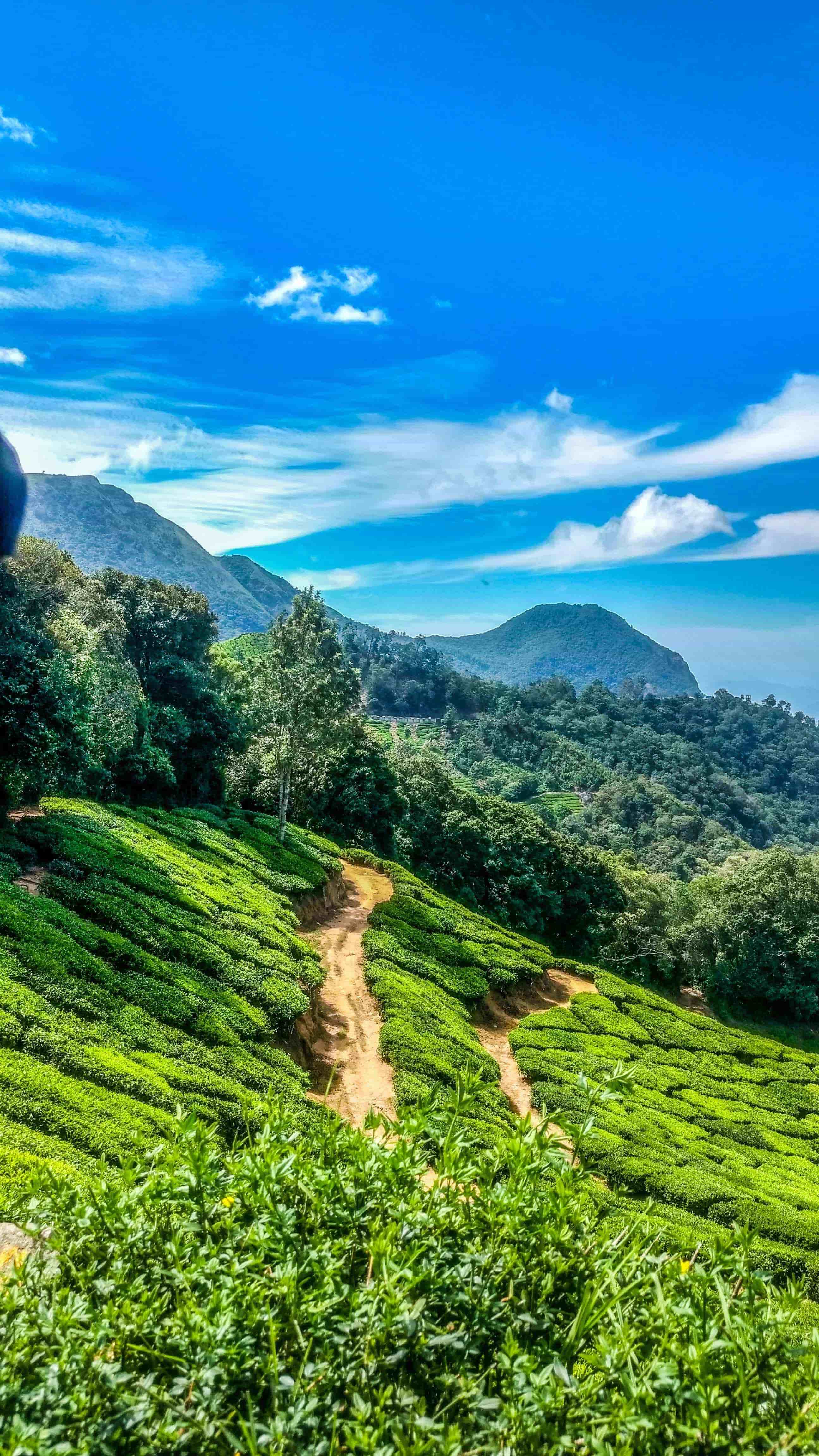 Kerala Packages