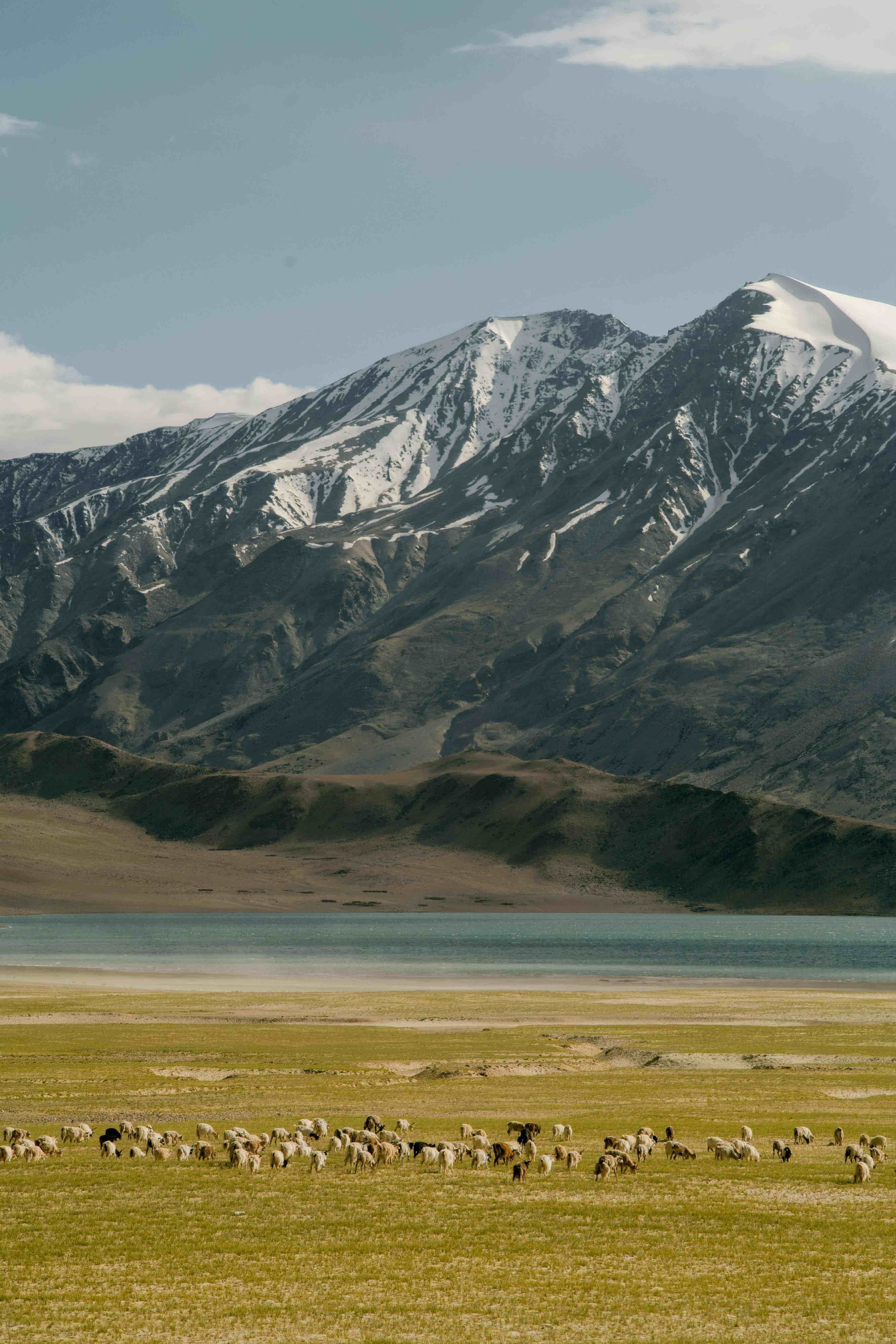  Leh-Ladakh 5 Night 6 Days