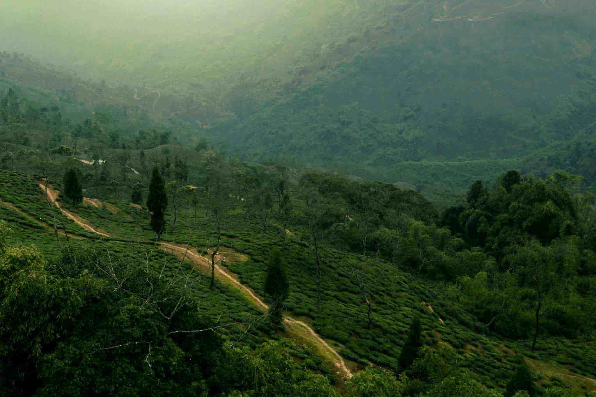 Gangtok - Darjeeling 4 Night 5 Days 
