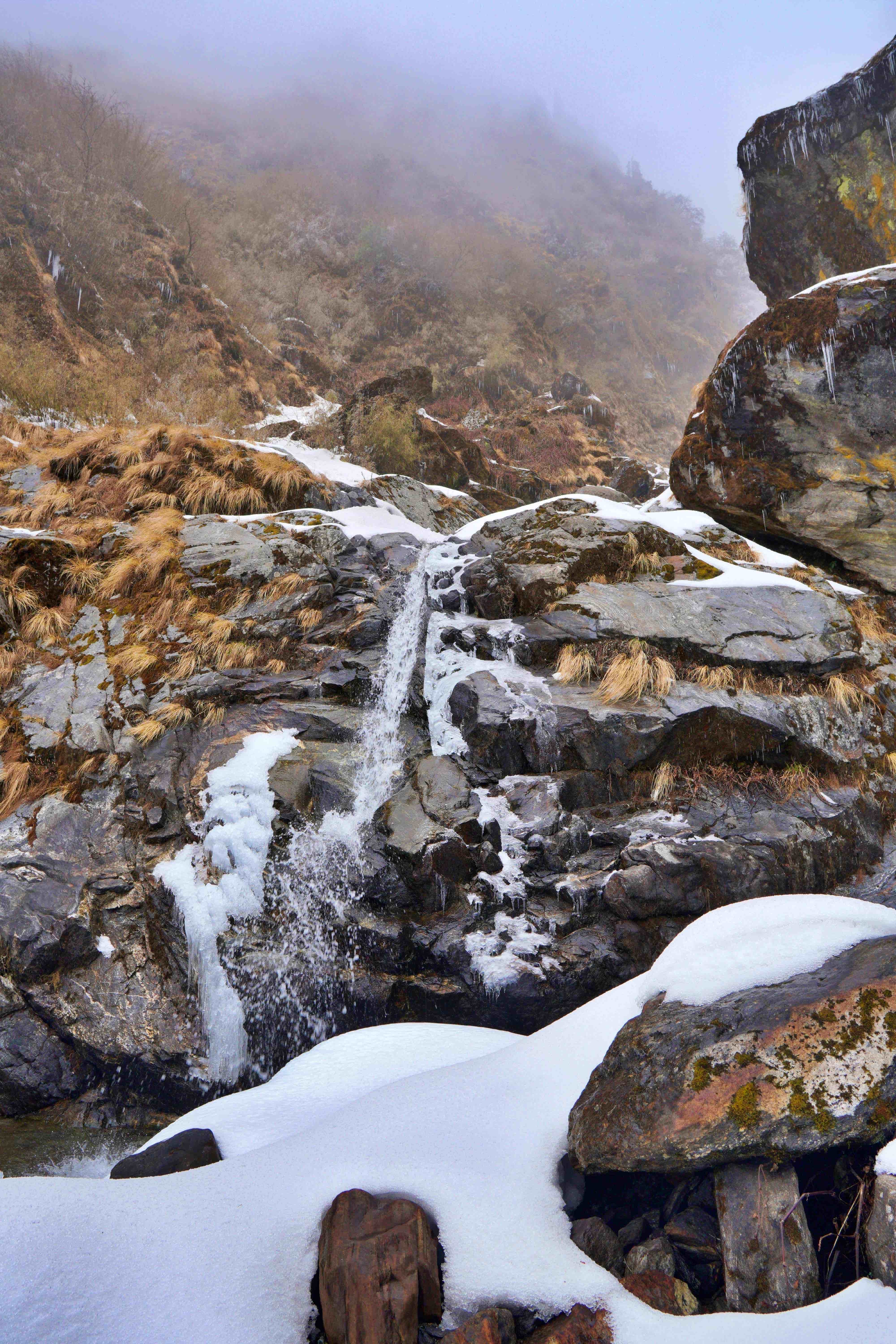 Gangtok - Darjeeling with Kalimpong  – Pelling 7 Night 8 Days 