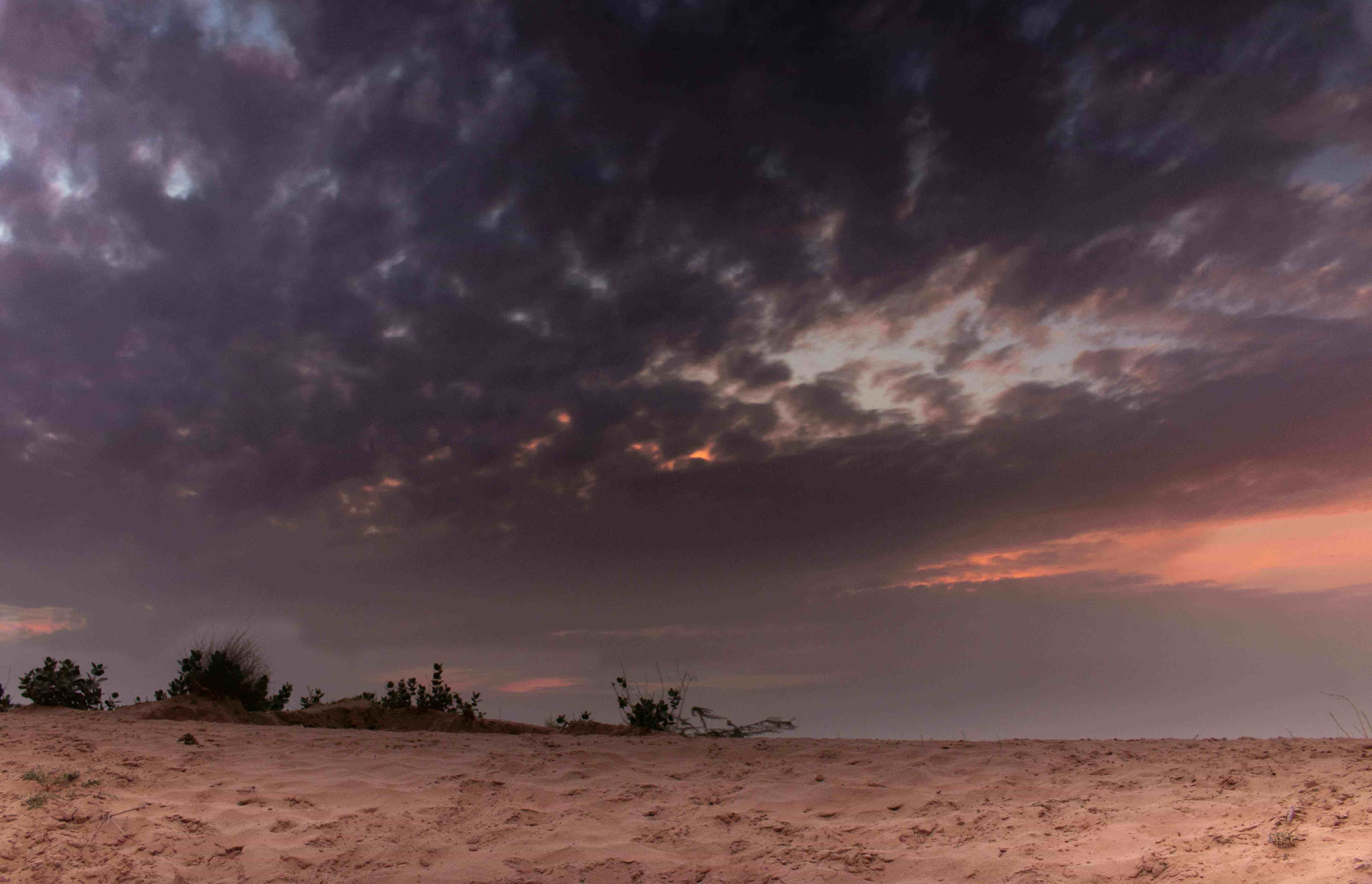 Jaipur – Ranthambore – Ajmer – Pushkar Tour 3 Nights 4 Days 